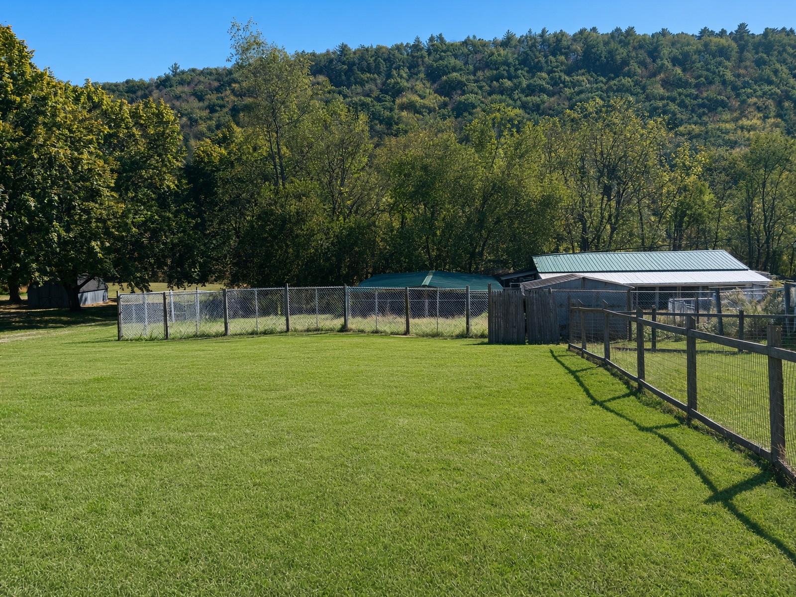 Chain-link and wooden privacy fence section